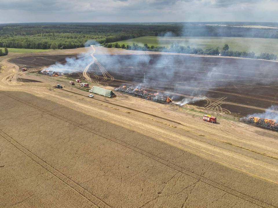 PHOTO-2025-08-01-15-09-50